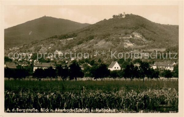 Auerbach Bergstrasse Schloss und Melibokus