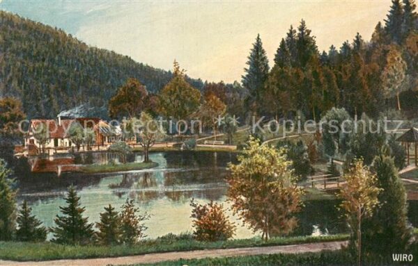 Verlag WIRO Wiedemann Nr. Nr.2452 A Triberg Schwarzwald Bergsee