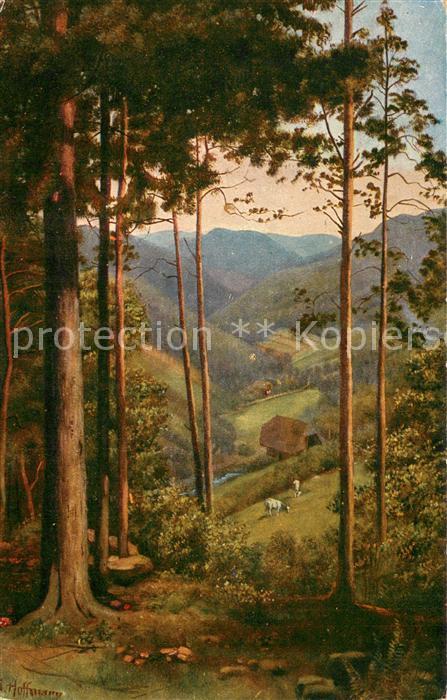 Hoffmann Heinrich Durchblick ins Tall