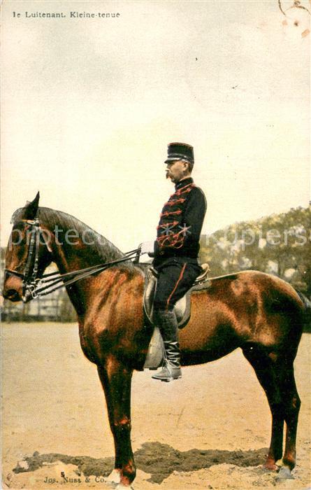 Militaria Offiziere Luitenant Kleine tenur