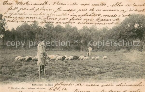 Landwirtschaft Echassiers Landais