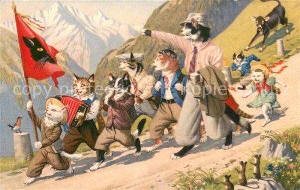 Verlag Kuenzli Zuerich Nr. 4672 Katzen musikanten