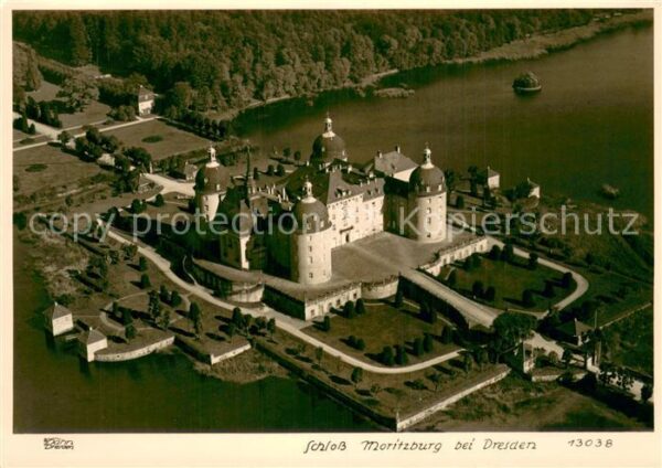 Foto Hahn Nr. Nr.13038 Schloss Moritzburg bei Dresden