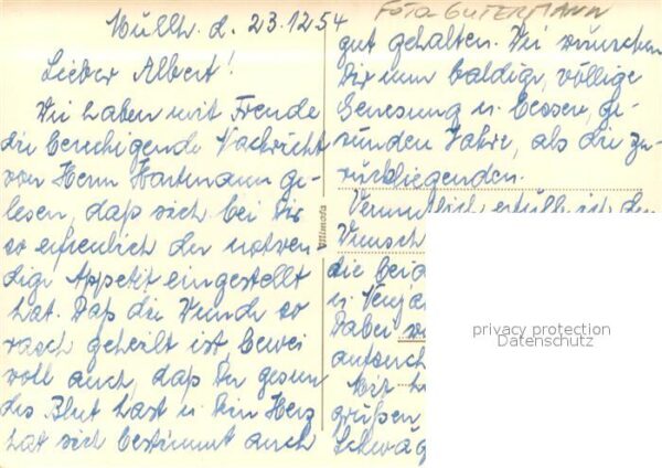 Foto Gutermann Feldberg – Bild 2