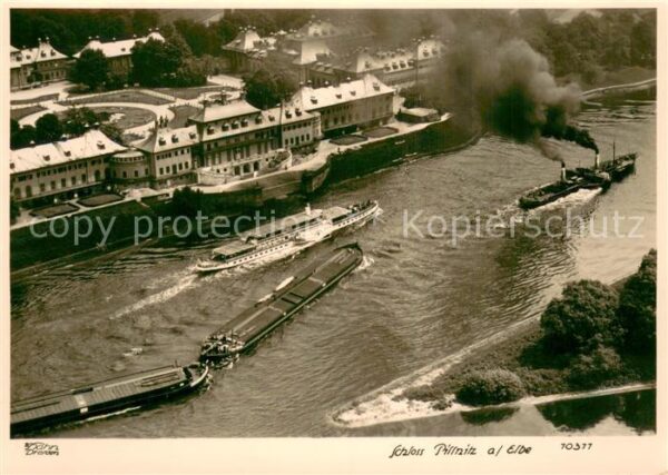 Foto Hahn Nr. Nr.70377 Schloss Pillnitz
