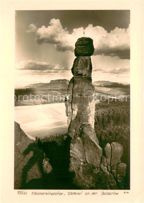 Foto Hahn Nr. Nr.615 Elbsandsteingebirge