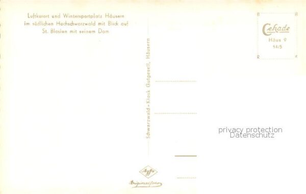 Haeusern Schwarzwald Fliegeraufnahme Gesamtansicht m. St. Blasien u. Dom – Bild 2