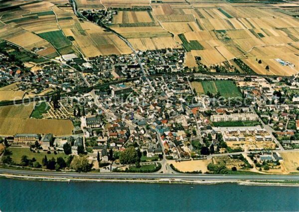 Erbach Rheingau Fliegeraufnahme Gesamtansicht