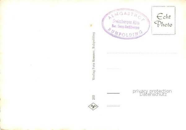 Ruhpolding Steinberg-Alm m. Rauschberg – Bild 2