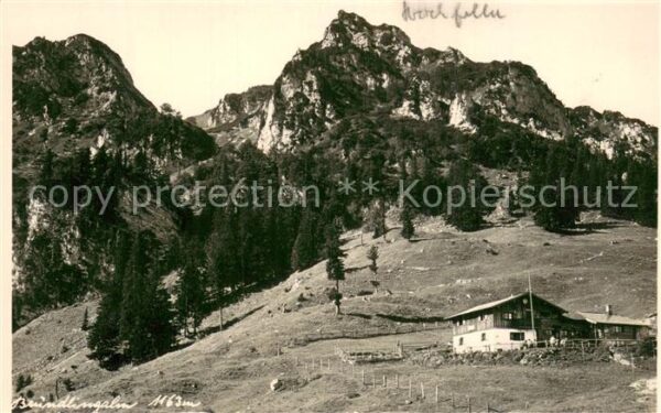 Bruendlingalm 1161m Hochfelln Alm m. Hochfelln