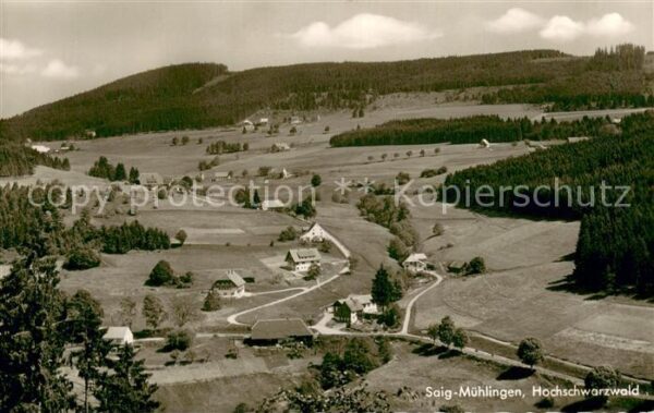 Muehlingen Saig Schwarzwald Teilansicht Hochschwarzwald