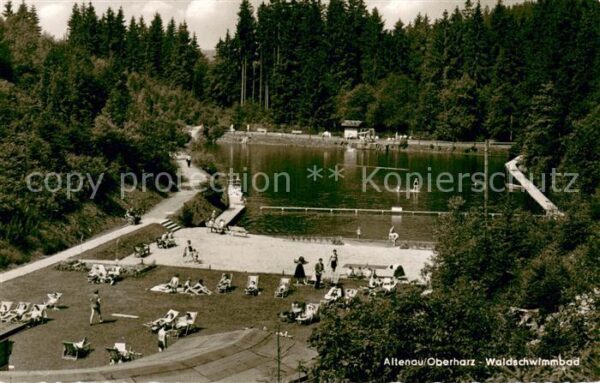 Altenau Harz Waldschwimmbad