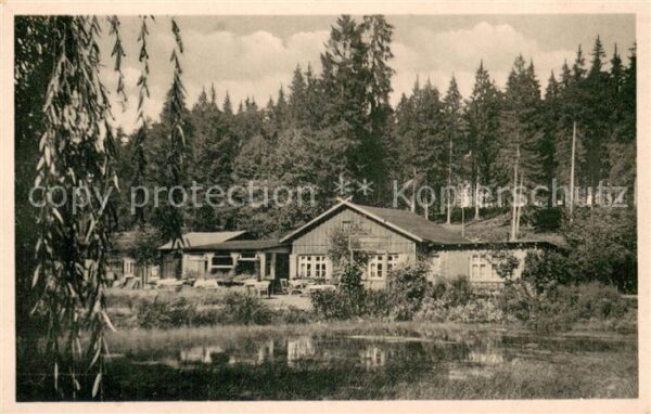 Braunlage Waldgaststaette Forellenteich i. Brunnenbachstal