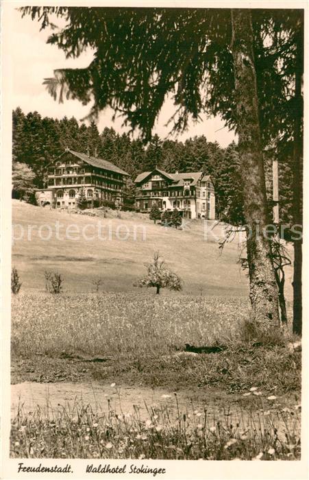 Freudenstadt Waldhotel Cafe Stokinger