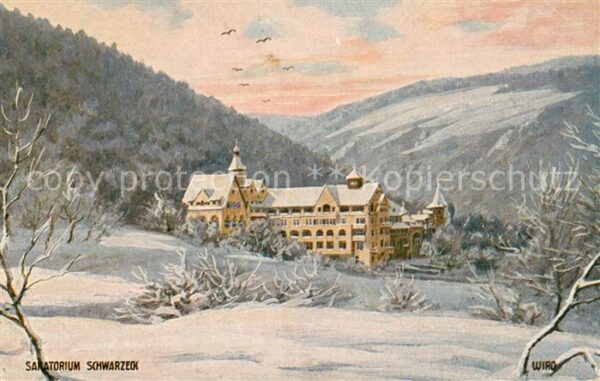 Bad Blankenburg Waldsanatorium Schwarzeck Kuenstlerkarte