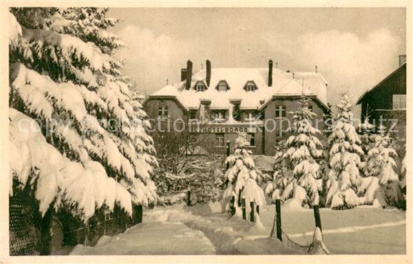 Elsenborn Belgie Hotel Borgs