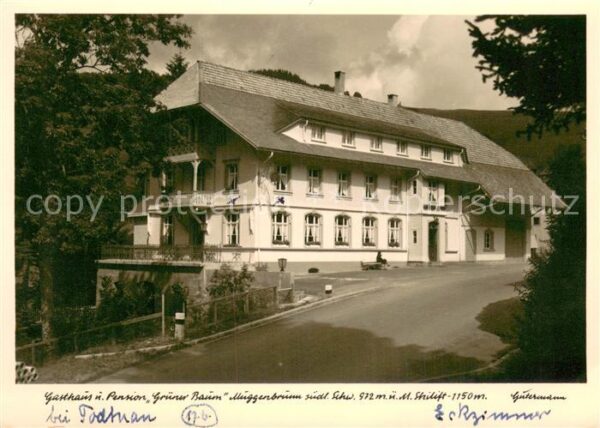 Muggenbrunn Gasthaus Pension Gruener Baum