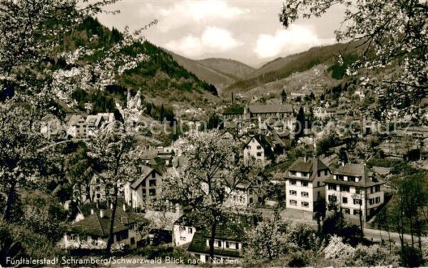 Schramberg Panorama Fuenftaelerstadt im Schwarzwald