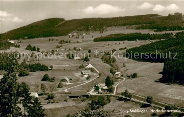 Muehlingen Saig Schwarzwald Panorama