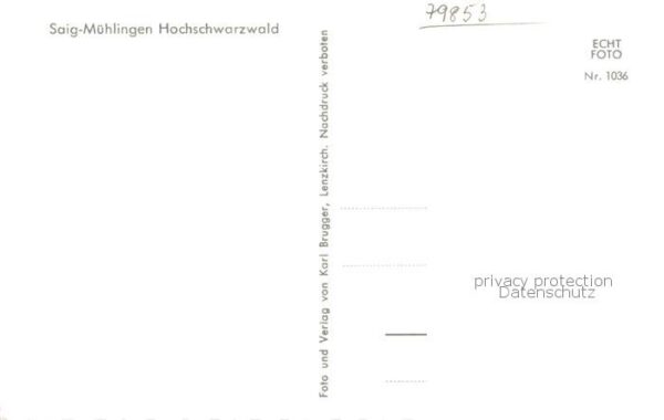 Muehlingen Saig Schwarzwald Panorama – Bild 2