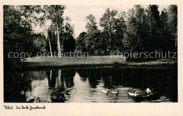 Tilsit Sowetsk Oblast Kaliningrad Im Park Jacobsruh