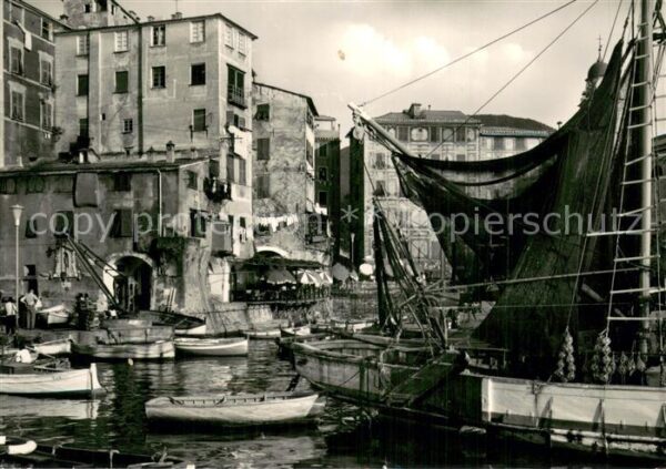 Camogli IT Il porto Golfo Paradiso
