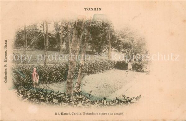 Tonkin Vietnam Jardin Botanique