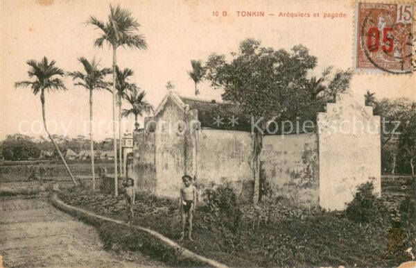 Tonkin Vietnam Aréquiers et pagode