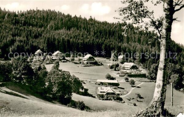 Hinterzarten Blick zum Kesslerberg Hoehenluftkurort im Schwarzwald