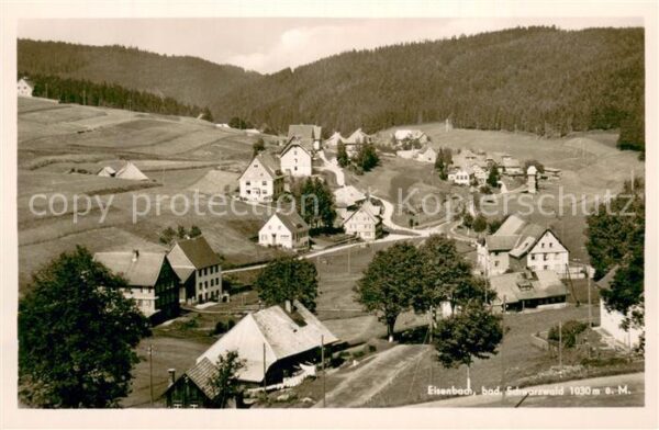 Eisenbach Schwarzwald Panorama