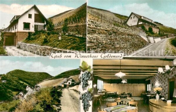 Oberwesel Rhein Winzerhaus Goldemund Weingut  Innen- u. Aussenansichten