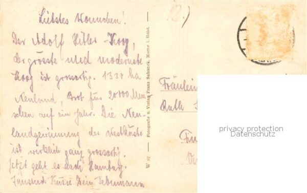 Marne Holstein Hauptstrasse im A.H.-Koog – Bild 2