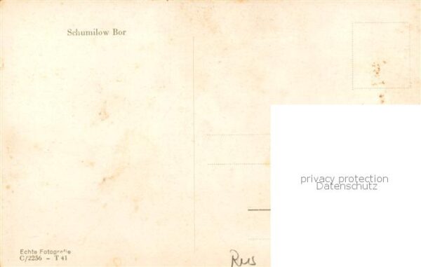 Schumilow-Bor Russia RU Teilansicht Haeuser – Bild 2