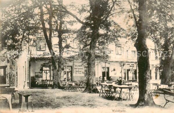 Moelln  Lauenburg Waldhasse m.Garten-Terrasse