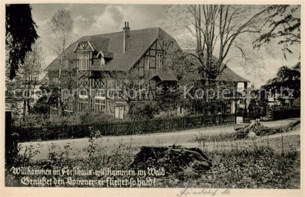 Bueckeburg Restaurant Forsthaus Aussenansicht Fachwerkhaus