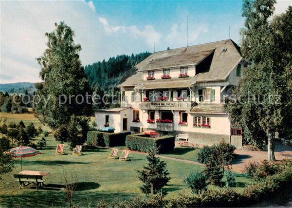 Hinterzarten Pension Waldheim Aussenansicht m. Garten