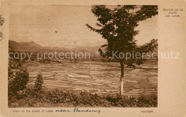 Leles Indonesia View on the plains