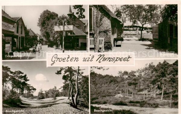Nunspeet NL Dorpsstraat . Boschgezicht - Boerderij