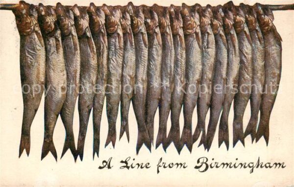 Birmingham  UK Fish-line