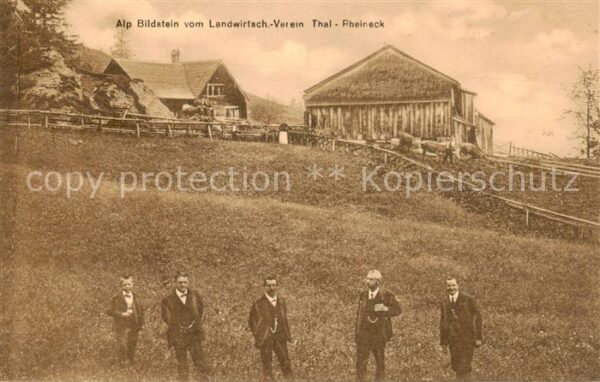 Bildstein Vorarlberg AT Alp Bildstein vom Landwirtschaftlichen Verein Thal-Rhein
