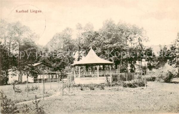 Liegau-Augustusbad Radeberg Kurbad Licht- Stahl- und Moorbaeder, Fichtennadelbae