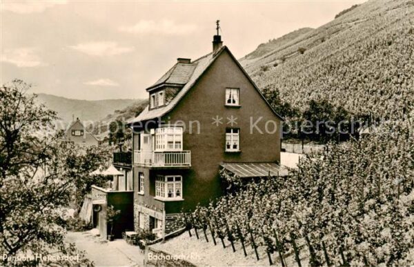Bacharach Rhein Pension Hermersdorf Weinberge