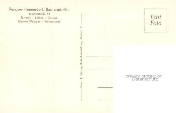 Bacharach Rhein Pension Hermersdorf Weinberge – Bild 2