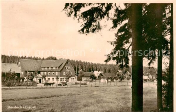 Steinbach  Johanngeorgenstadt Fremdenhof Waldesruhe