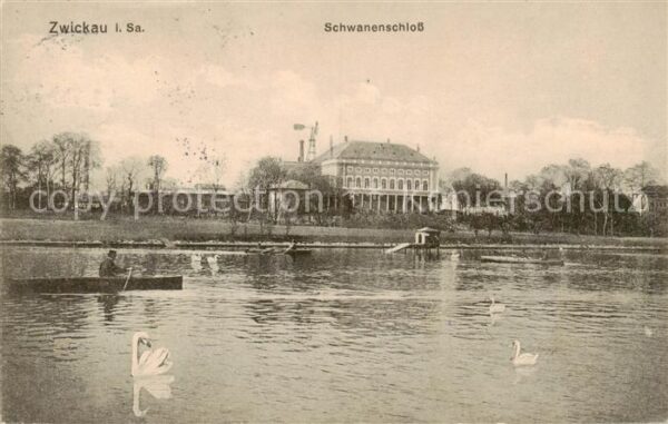 Zwickau  Sachsen Schwanenschloss Schwaene