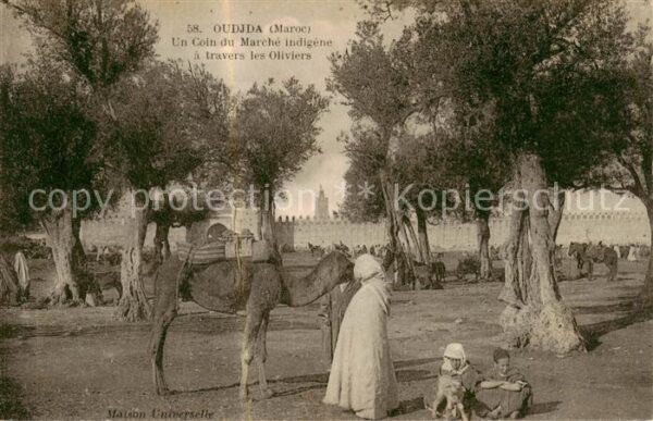 Oudja Oujda Maroc Un Coin du Marche indigene a traveers les Oliviers