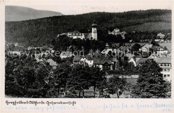 Bad Altheide Polanica-Zdrój Panorama