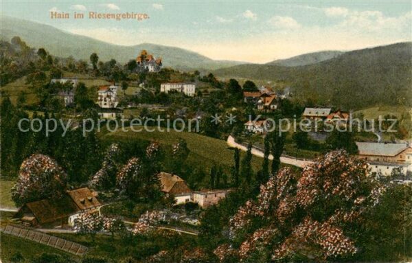 Hain  Giersdorf Riesengebirge Podgorzy PL Panorama