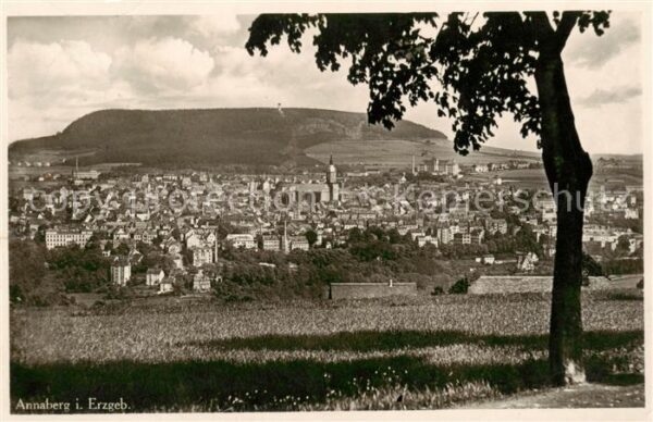 Annaberg -Buchholz Erzgebirge Panorama