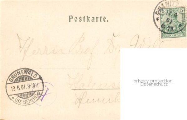 Pillnitz Dresden Ruine und Denkmal – Bild 2